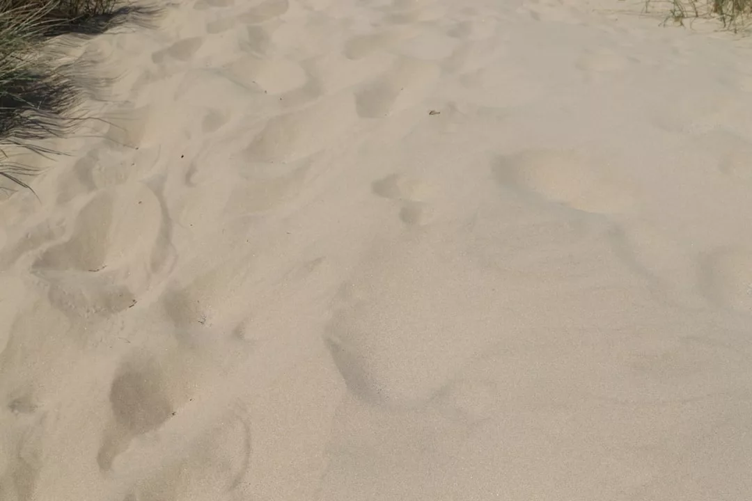Nahaufnahme von hellem GLAMESiA-Sand mit verstreuten Fußspuren und etwas Gras am linken Rand.