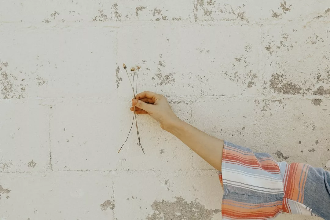 Eine Person, die ein gestreiftes langärmeliges Hemd trägt, hält zwei getrocknete Blumen vor einer strukturierten, verwitterten weißen Backsteinwand und verkörpert damit die schlichte Eleganz von GLAMESiA.