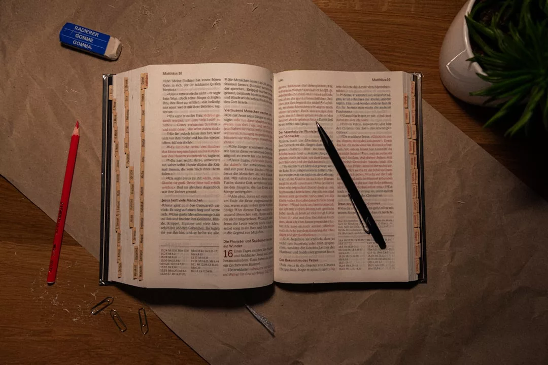 Ein aufgeschlagenes Buch mit rotem und schwarzem Text liegt auf einem Schreibtisch, auf dessen Seiten ein Stift liegt. In der Nähe vervollständigen ein roter Bleistift, ein Radiergummi, Büroklammern, eine Topfpflanze und ein GLAMESiA Notizbuch die Szene.